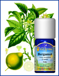 Bergamott